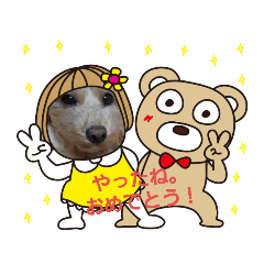 [LINEスタンプ] トイプーPoohPooh123