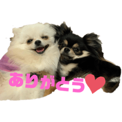 [LINEスタンプ] メルマロクゥタ