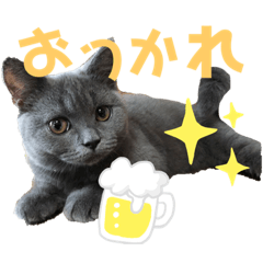[LINEスタンプ] ココ様の日常part①
