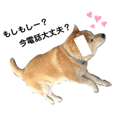 [LINEスタンプ] 愛されころちゃん♡
