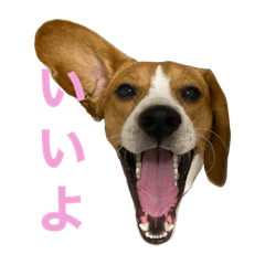 [LINEスタンプ] うりだよ。