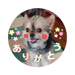 [LINEスタンプ] 麗音日和