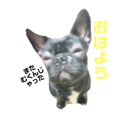 [LINEスタンプ] すあすあ