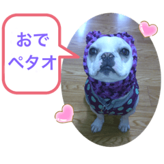 [LINEスタンプ] ぺたおは色白さん。