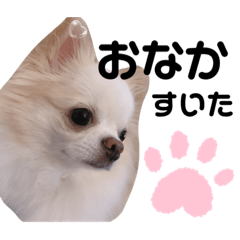 [LINEスタンプ] あもる♡1