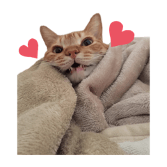[LINEスタンプ] はにしゅがめる