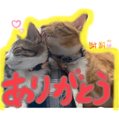 [LINEスタンプ] 日高家のこんぶとひじき