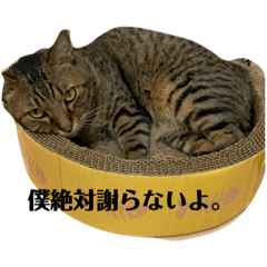 [LINEスタンプ] 僕と弟