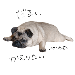 [LINEスタンプ] パッグ