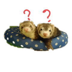 [LINEスタンプ] にょろにょろ2本