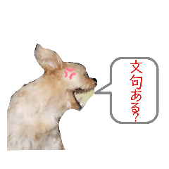 [LINEスタンプ] チョコミント日常