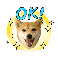 [LINEスタンプ] こうたくん2_前向き