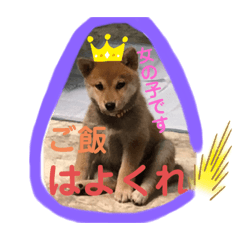 [LINEスタンプ] きな子はんの日常パート4