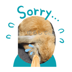 [LINEスタンプ] ろい吉スタンプ2