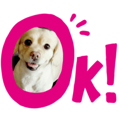 [LINEスタンプ] mix犬マームU・x・U
