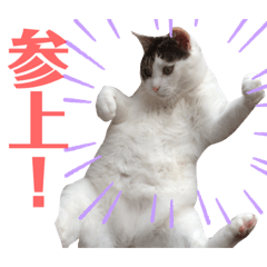 [LINEスタンプ] あんちょのスタンプ2