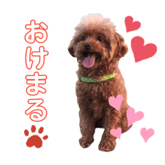 [LINEスタンプ] やまぐち動物園