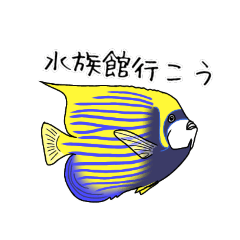 [LINEスタンプ] お魚図鑑(タテジマキンチャクダイ)