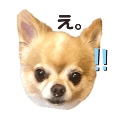 [LINEスタンプ] ぱんなくん