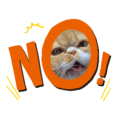 [LINEスタンプ] 駅にゃんこ