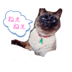 [LINEスタンプ] 甘栗2