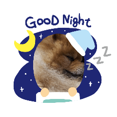 [LINEスタンプ] 日常使えるわんわん