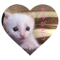 [LINEスタンプ] Ni_a