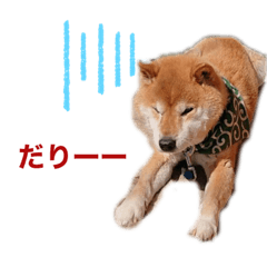 [LINEスタンプ] てんぱち＆さすけ
