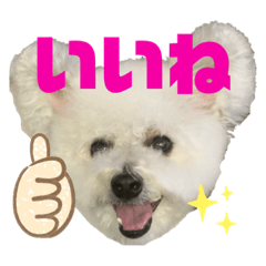 [LINEスタンプ] もこすたんぷ〜日常〜