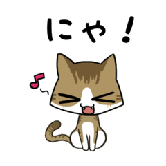 [LINEスタンプ] ねこ語になるスタンプだにゃ！