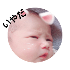 [LINEスタンプ] 毎日のこうたくん