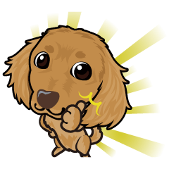 [LINEスタンプ] ミックス犬のココ