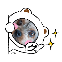 [LINEスタンプ] ワンcスタンプ
