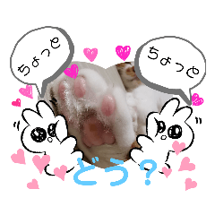 [LINEスタンプ] It doesn't stamps
