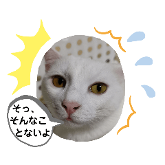 [LINEスタンプ] There is a daily life