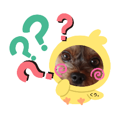 [LINEスタンプ] ヨーキーライフ3