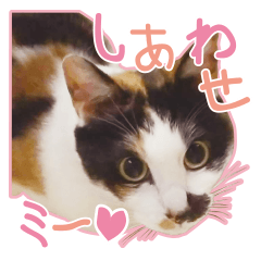 [LINEスタンプ] 幸せの三毛猫ミーちゃん