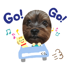 [LINEスタンプ] ヨーキーライフ4