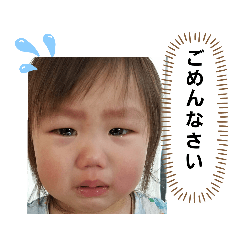 [LINEスタンプ] うちのコかわいい1