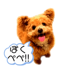 [LINEスタンプ] 僕ぺぺ