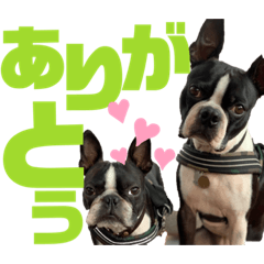 [LINEスタンプ] ナツレオスタンプ