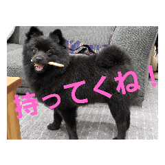 [LINEスタンプ] 僕、しし丸。パート3