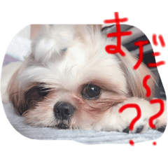 [LINEスタンプ] らんらんらんぷ