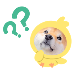 [LINEスタンプ] 柴犬 こさめ1