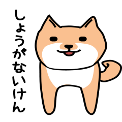 [LINEスタンプ] しょうがない犬 (津山弁)