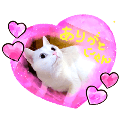 [LINEスタンプ] 忍と雪那