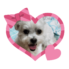 [LINEスタンプ] へり もこ