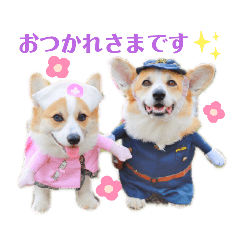 [LINEスタンプ] ラテ＆マフィン♡コーギー姉妹スタンプ