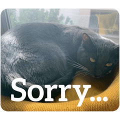 [LINEスタンプ] Cheddar