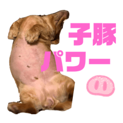 [LINEスタンプ] ちょこみる2